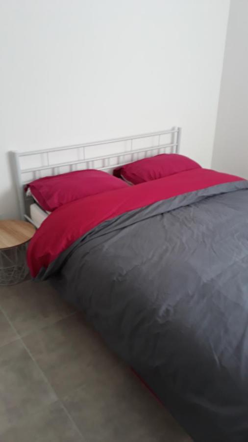 Appartement Neuf P3 50M2 ニーム エクステリア 写真