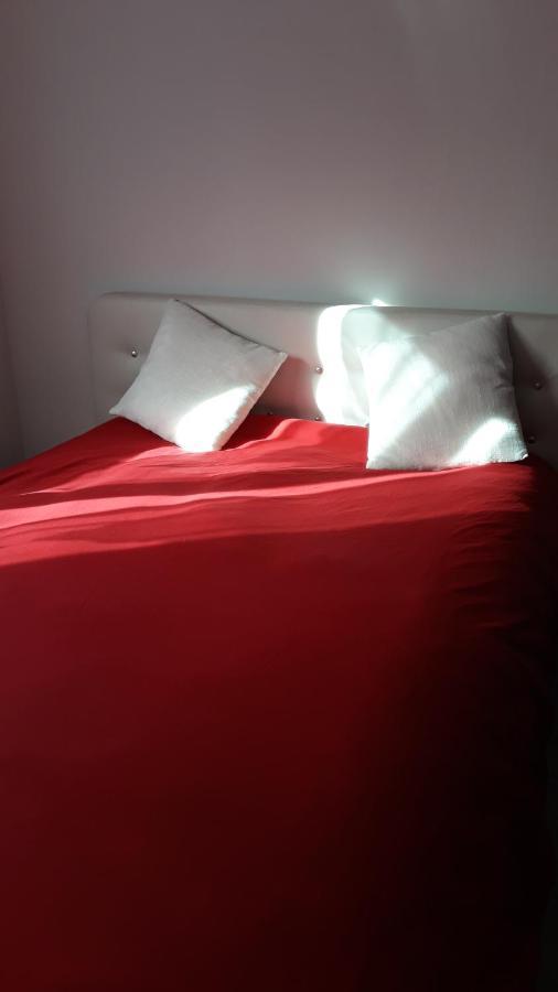 Appartement Neuf P3 50M2 ニーム エクステリア 写真